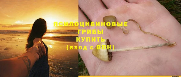 a pvp Абаза