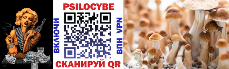 Галлюциногенные грибы Psilocybe  купить  цена  кракен зеркало  Спас-Клепики 
